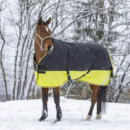 Manta invierno caballos parado nieve.