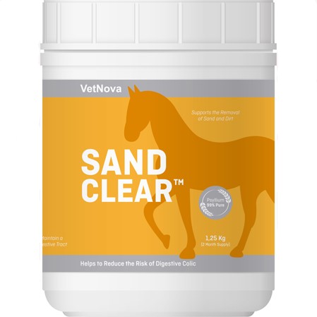 Sand Clear caballos.