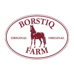 Borstiq Logo.