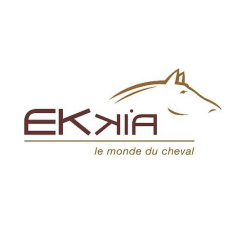 Ekkia Logo.
