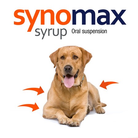 Jarabe articulaciones perros Synomax.