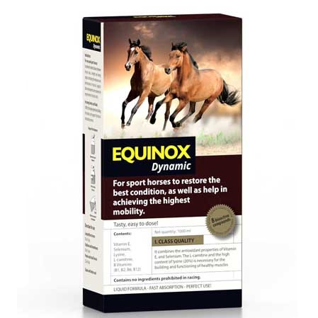 Suplemento caballos Equinox Dynamic.