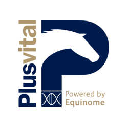 Plusvital Logo.