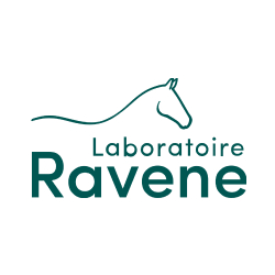 Ravene Logo.